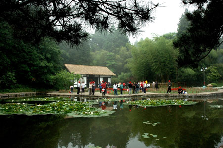 The idyllic forests of Lushan Mountain