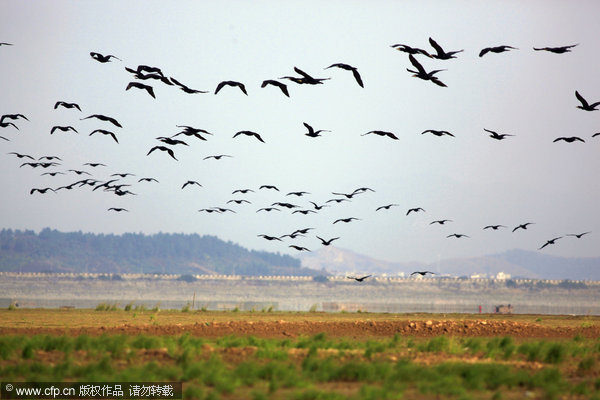 China's largest freshwater lake parched